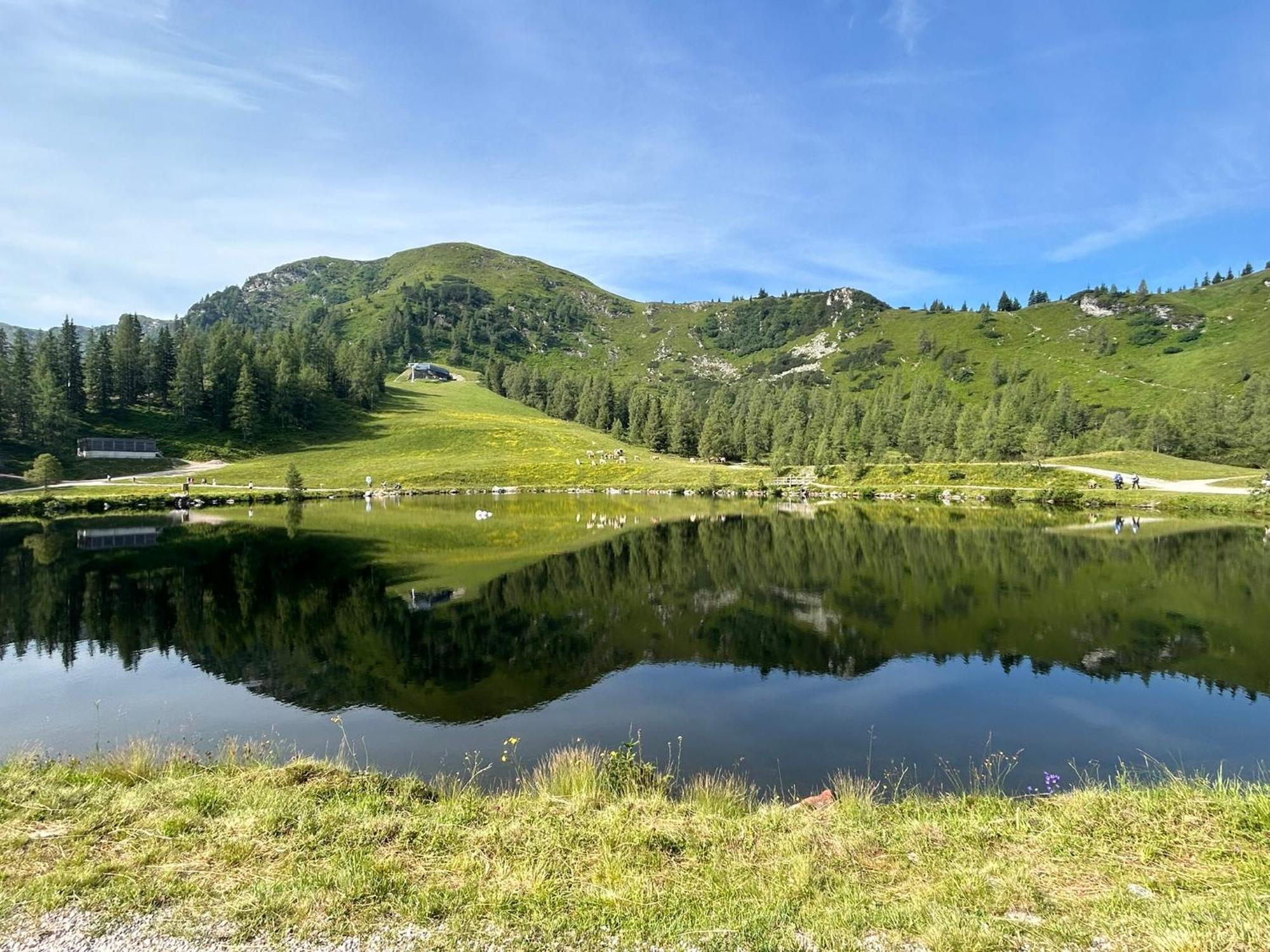 Flatzerhof Leilighet Haus im Ennstal Eksteriør bilde