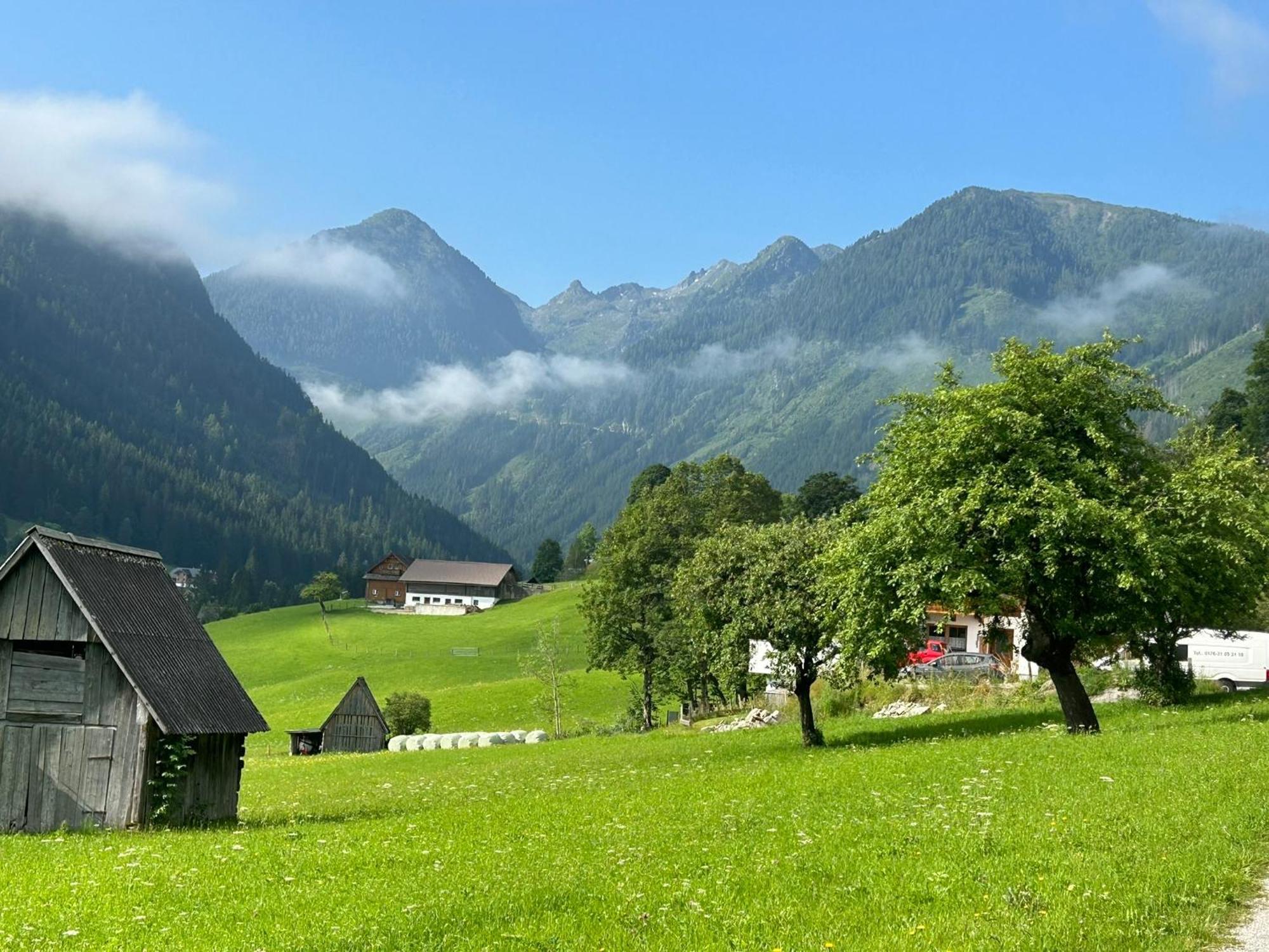 Flatzerhof Leilighet Haus im Ennstal Eksteriør bilde