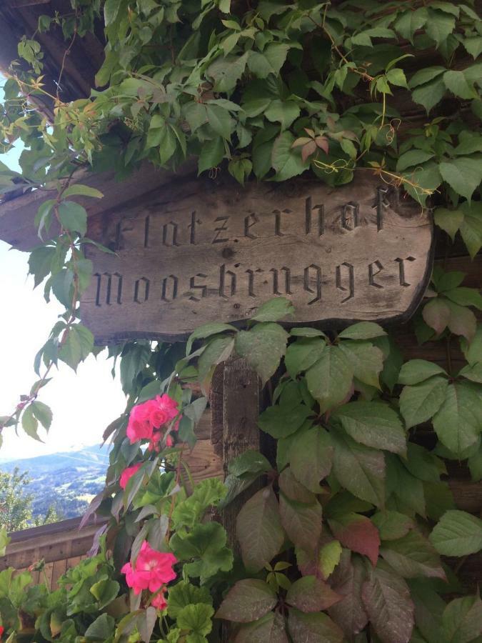 Flatzerhof Leilighet Haus im Ennstal Eksteriør bilde